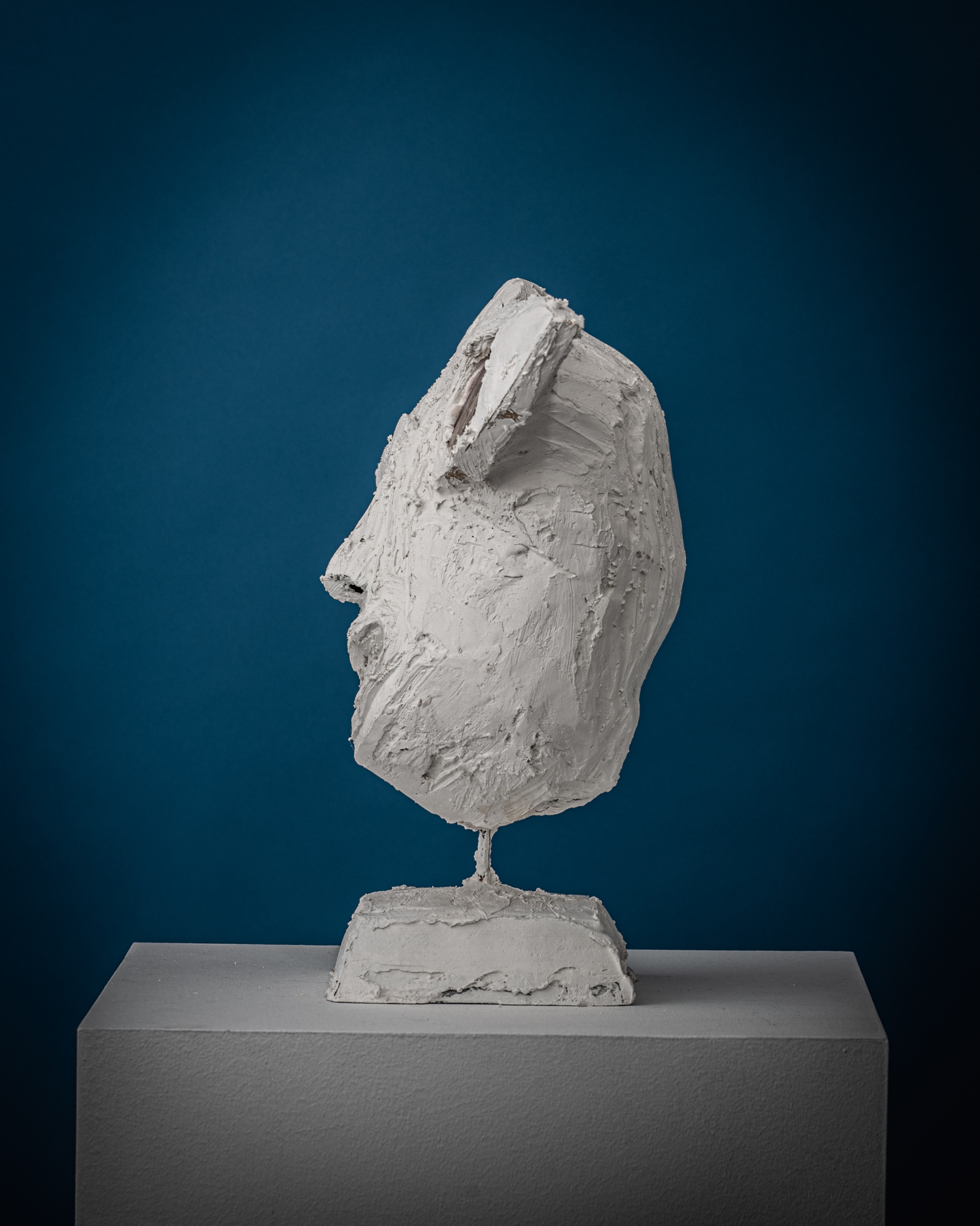 Twentieth MattiaBiagi AchromicGypsum AnimulaVagula 003