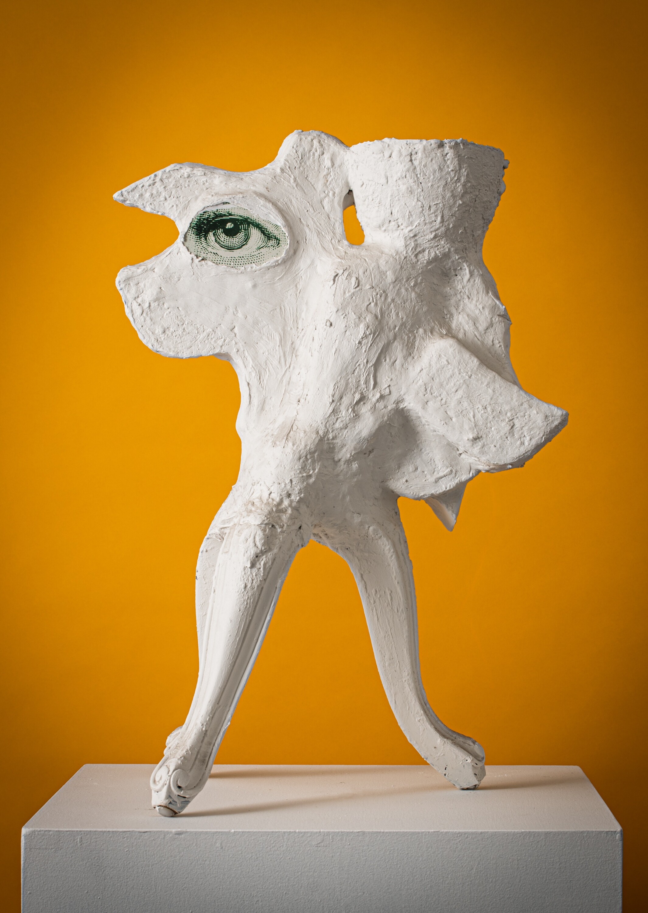 Twentieth MattiaBiagi AchromicGypsum CelsitudioCorporis 006