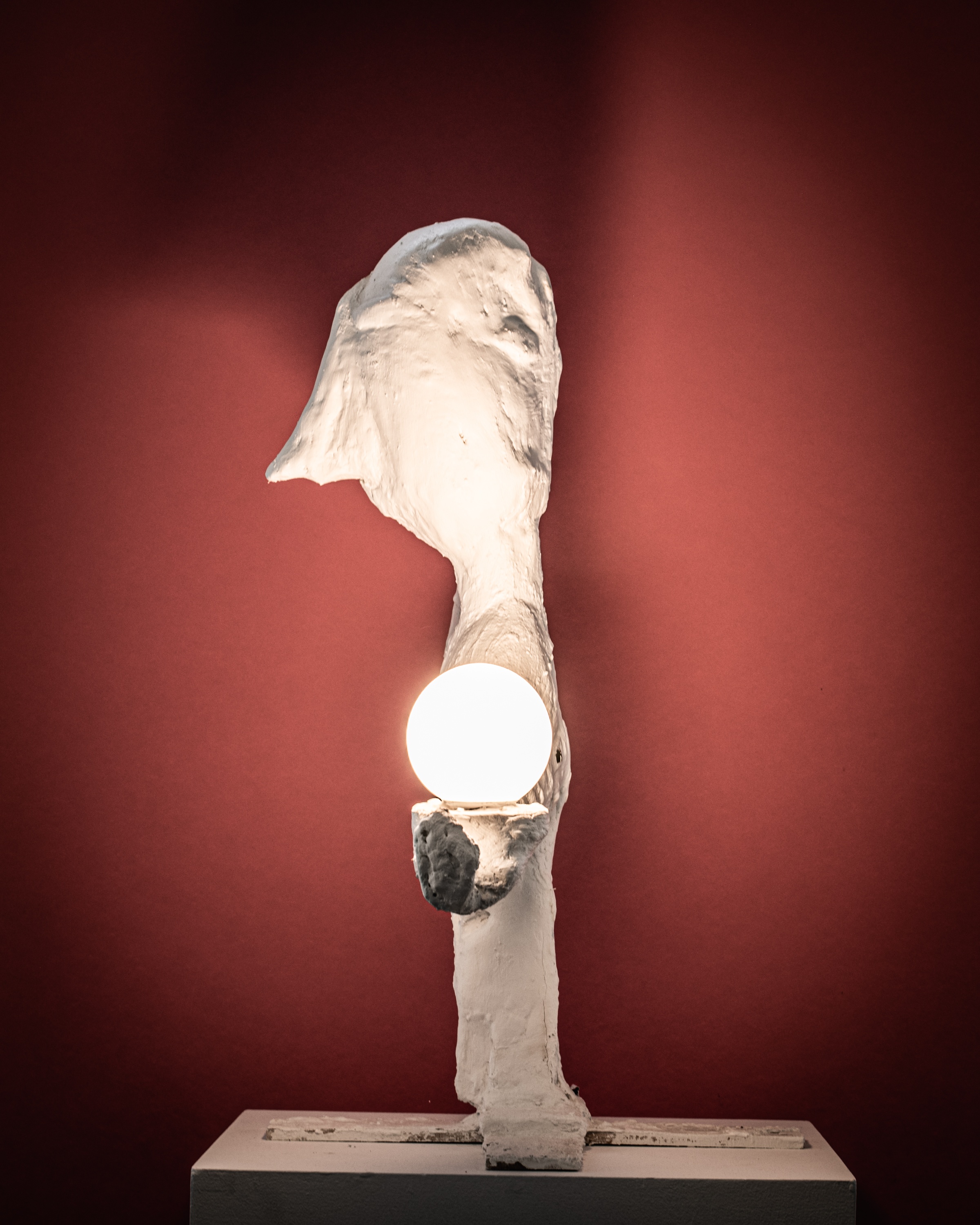 Twentieth MattiaBiagi AchromicGypsum CircumscribeCorpus 010