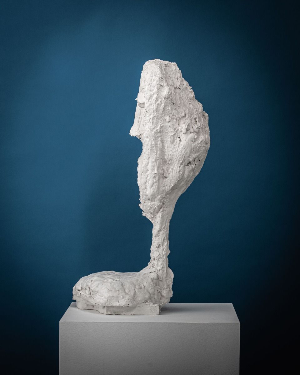 twentieth_mattiabiagi_achromicgypsum_arxcorporis_003