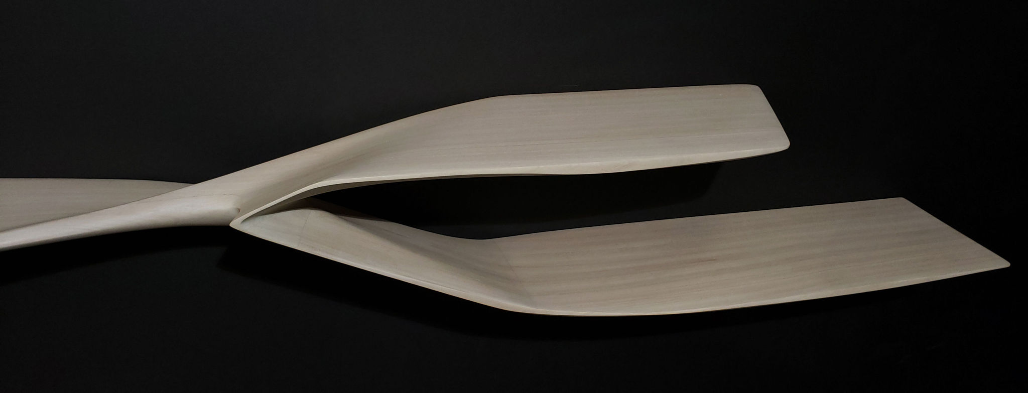 Twentieth ThomasNewman SonicSurferShelf 3