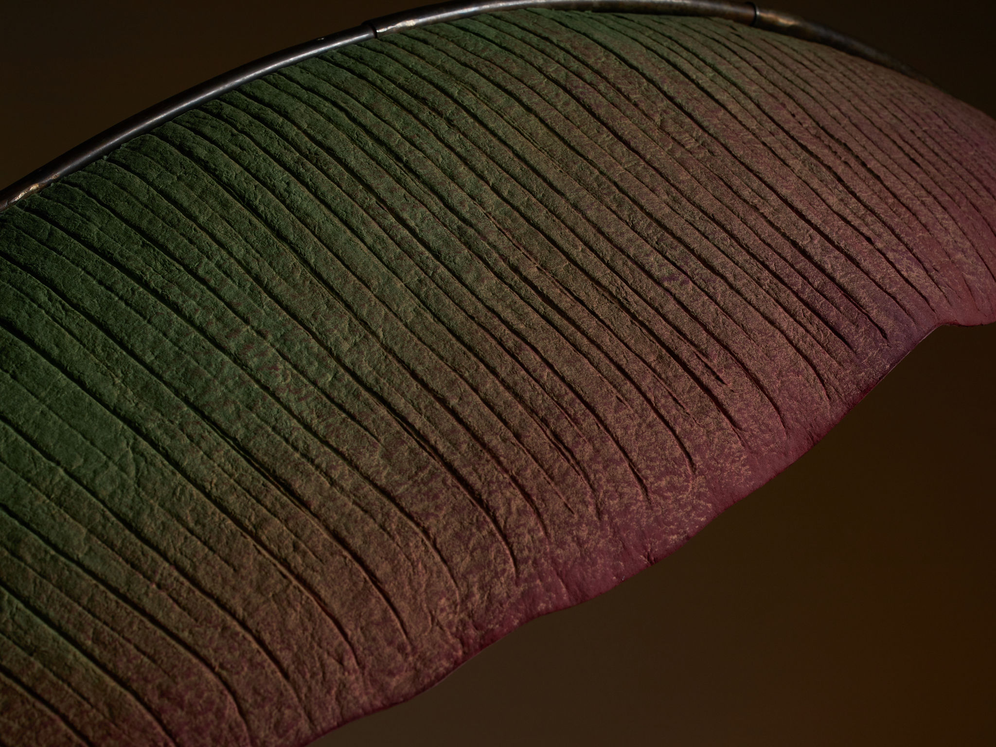 Twentieth PELLE NanaLureLamp Detail 3