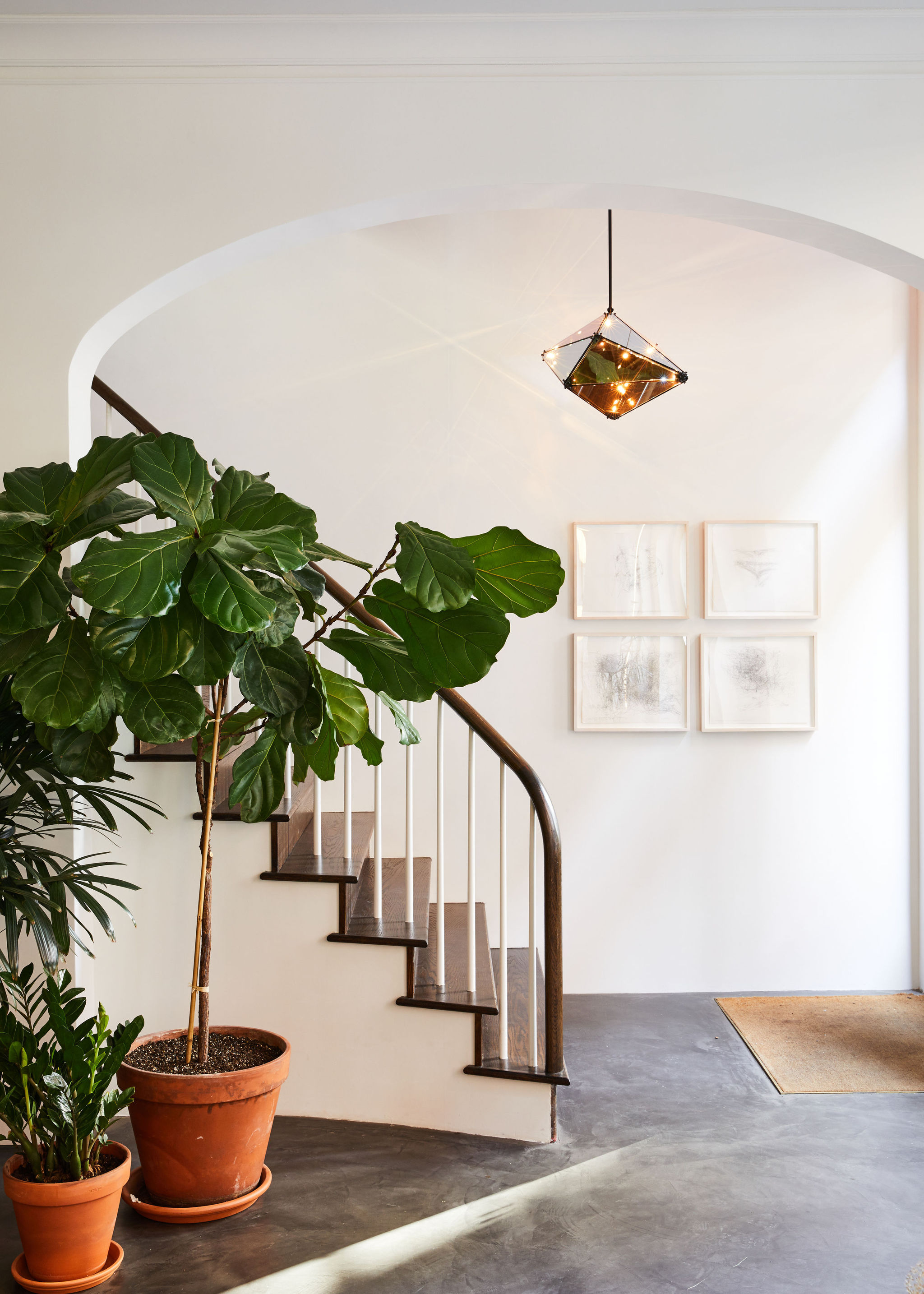 Roll&Hill Maxhedron Bauer 001