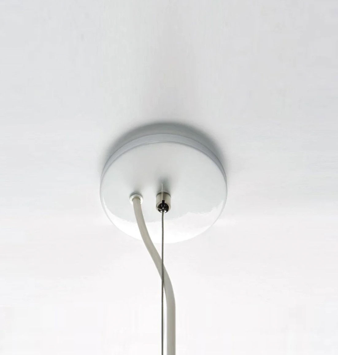 Twentieth RollHill Antler WhiteCanopy