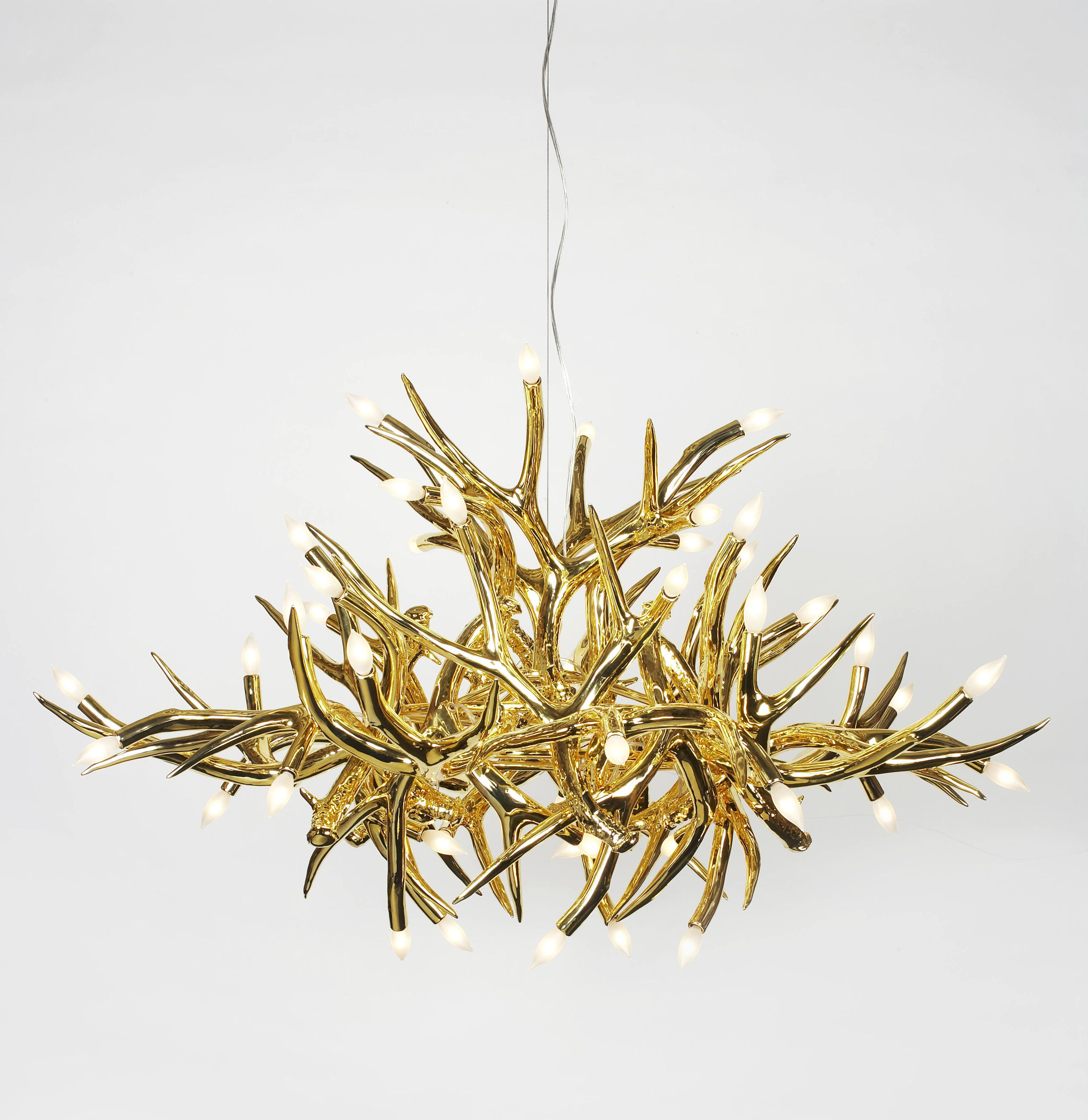 Twentieth RollaHill Antler Chand24 Gold