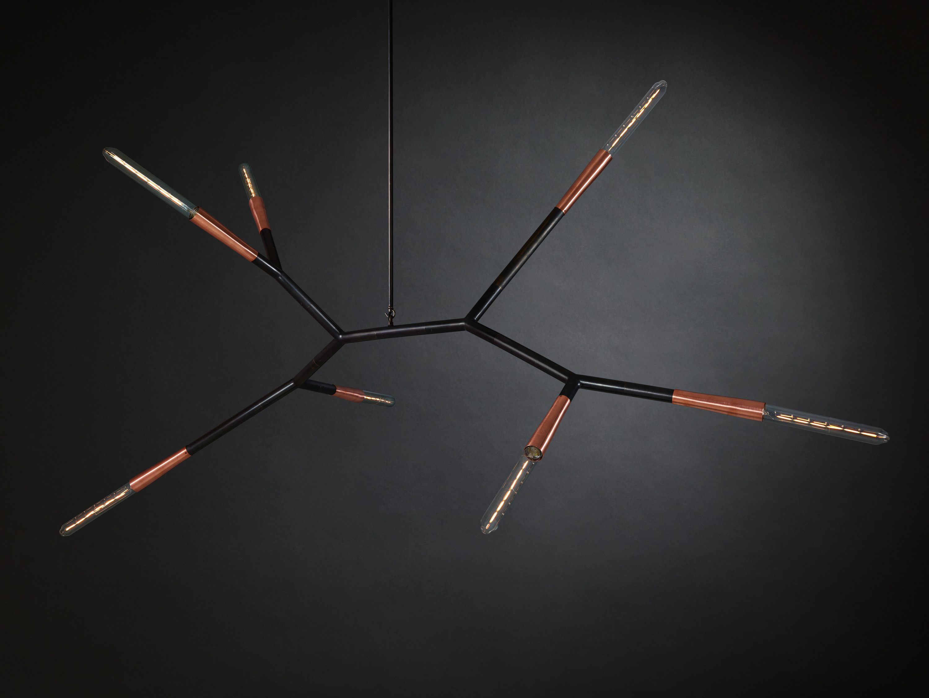 Twentieth Christopher Boots Phasmida 1