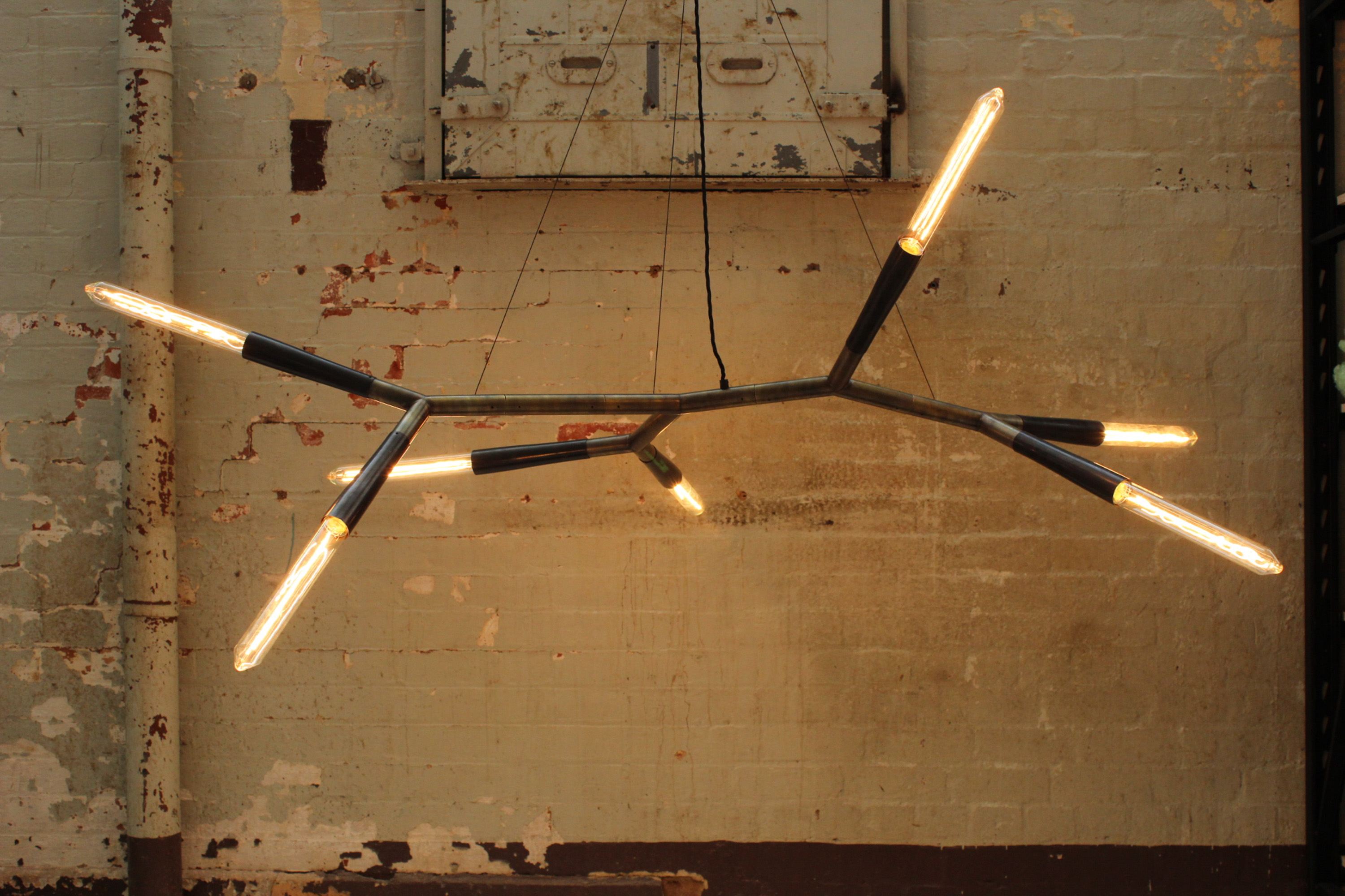 Twentieth Christopher Boots Phasmida 6