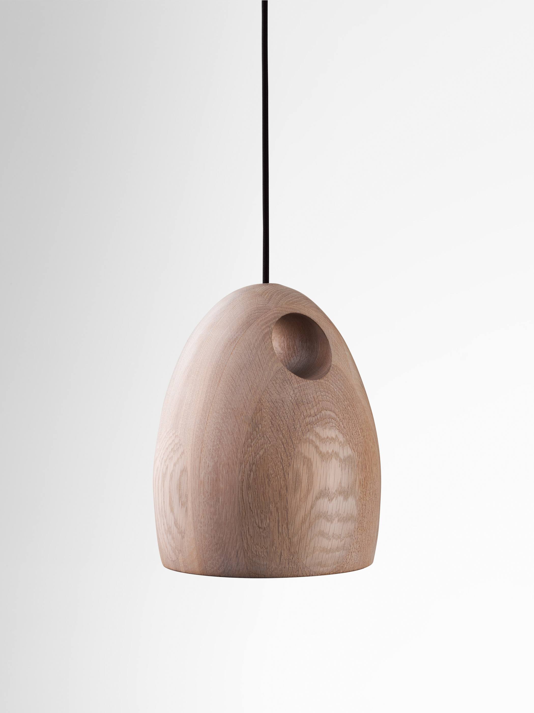 Twentieth Ross Gardam Oak Pendant 11