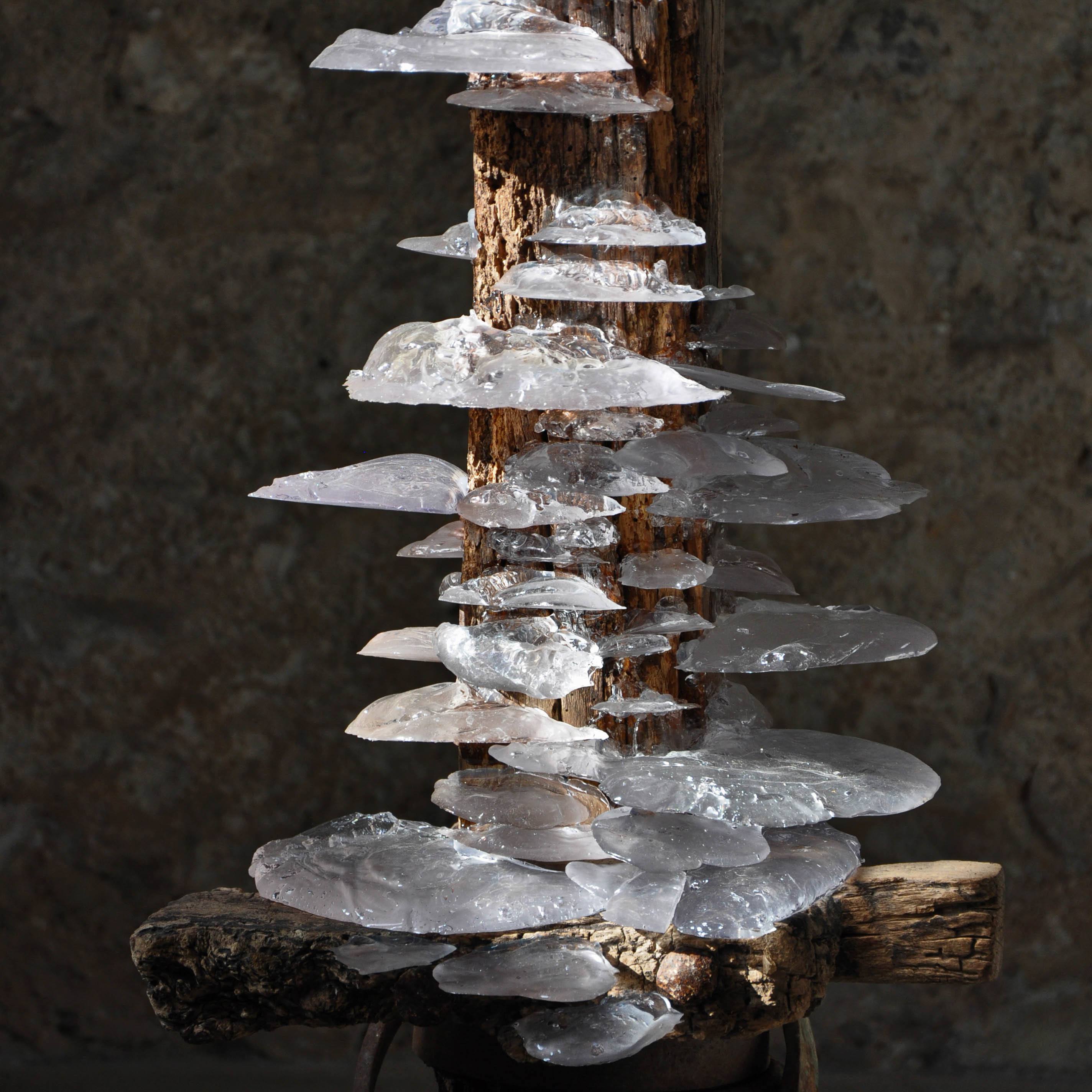 Twentieth TomPrice Viga 10 Square