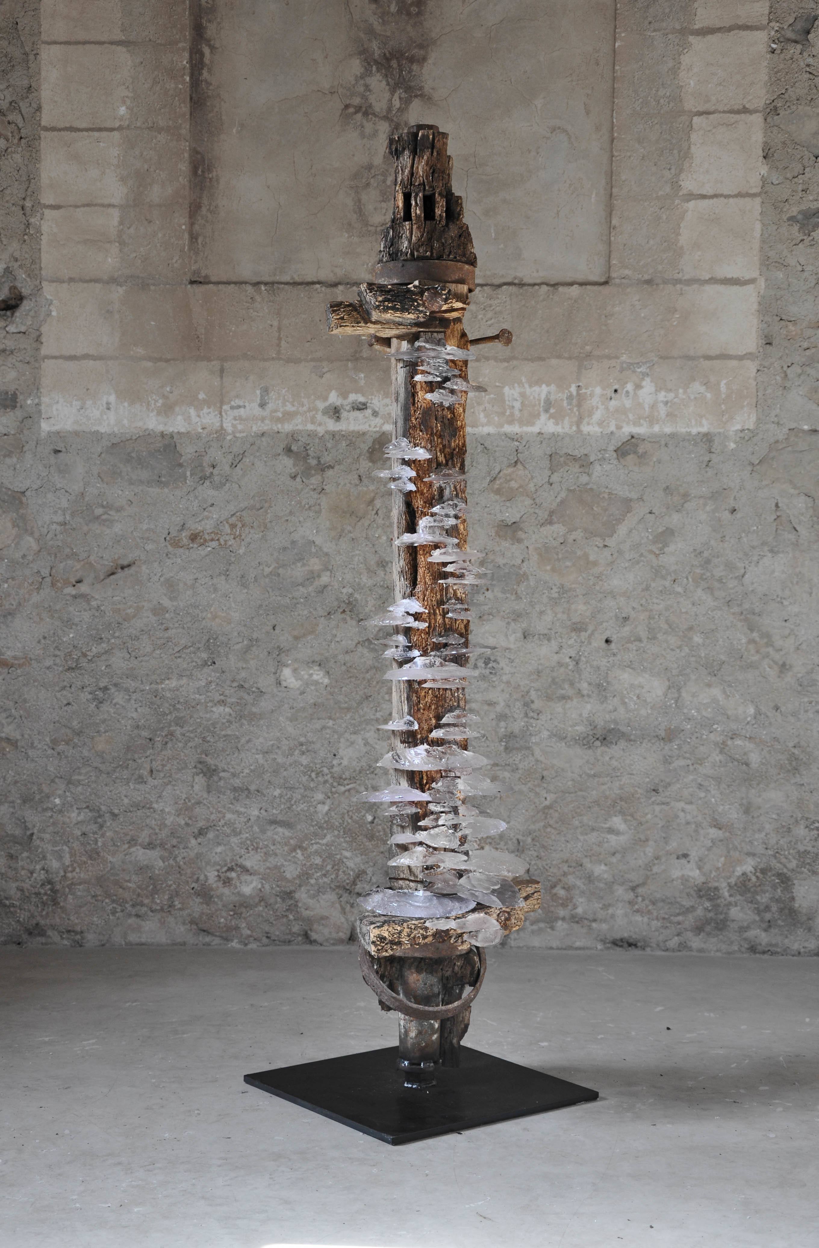 Twentieth TomPrice Viga 12