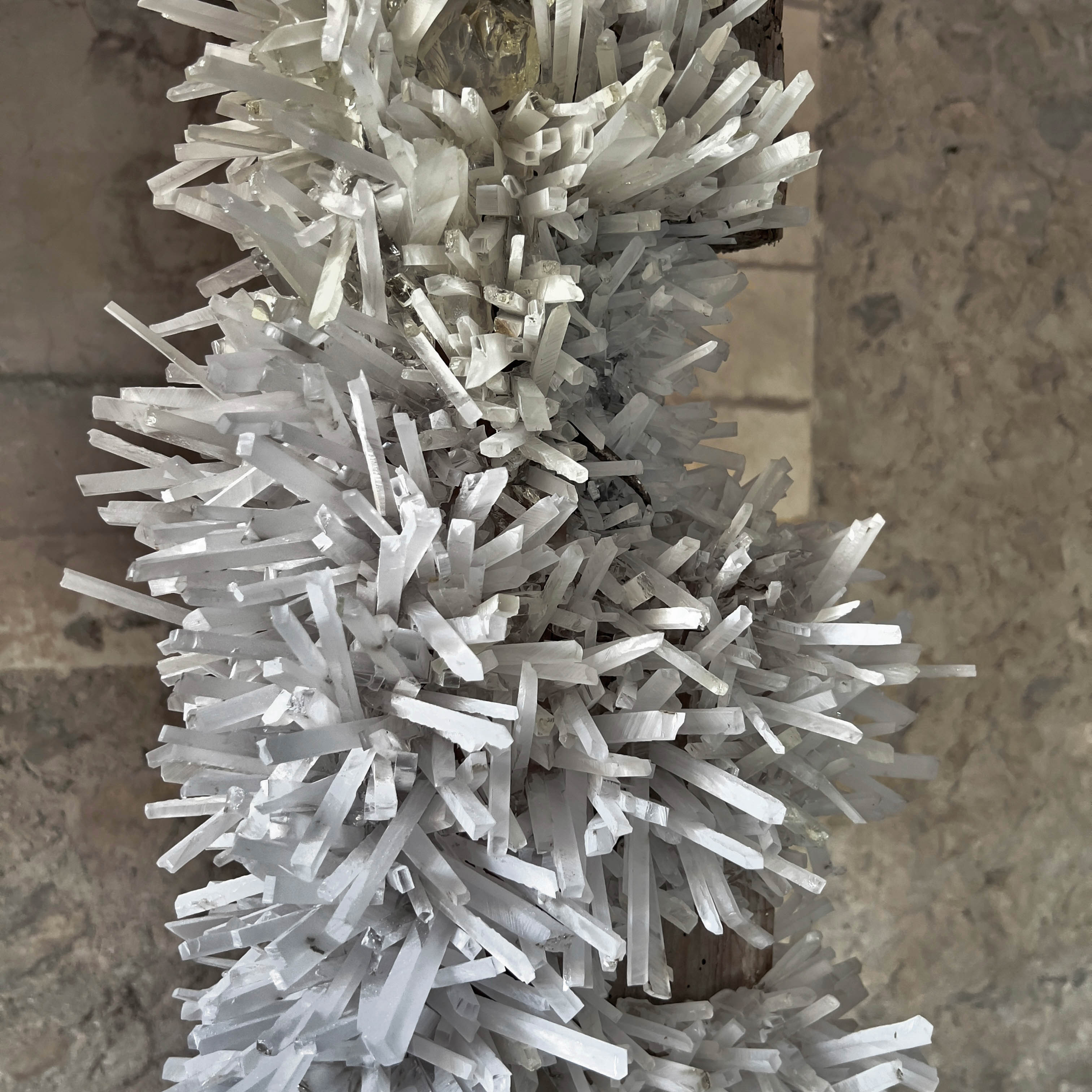 Twentieth_TomPrice_Viga-15_square