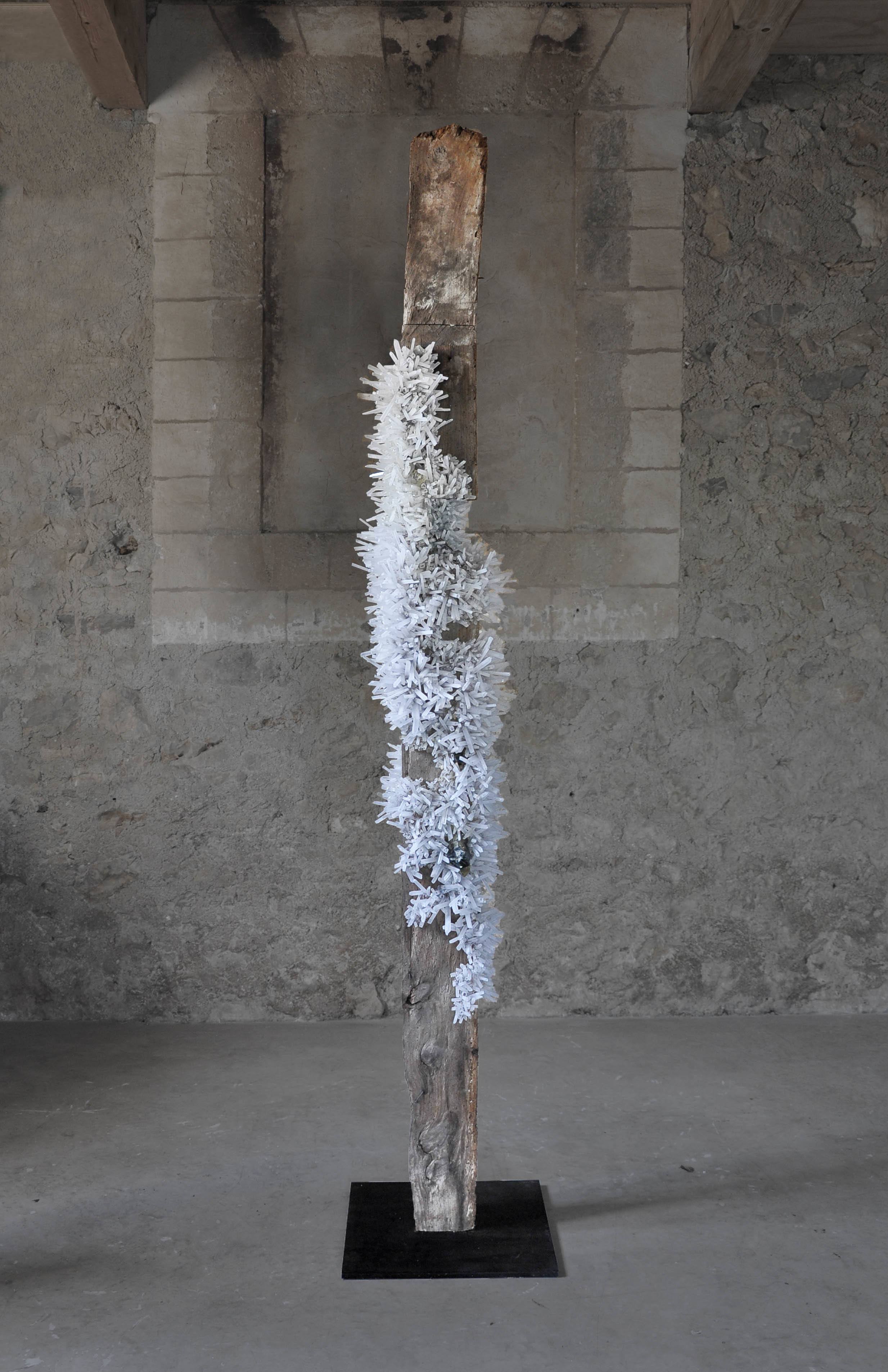 Twentieth TomPrice Viga 3