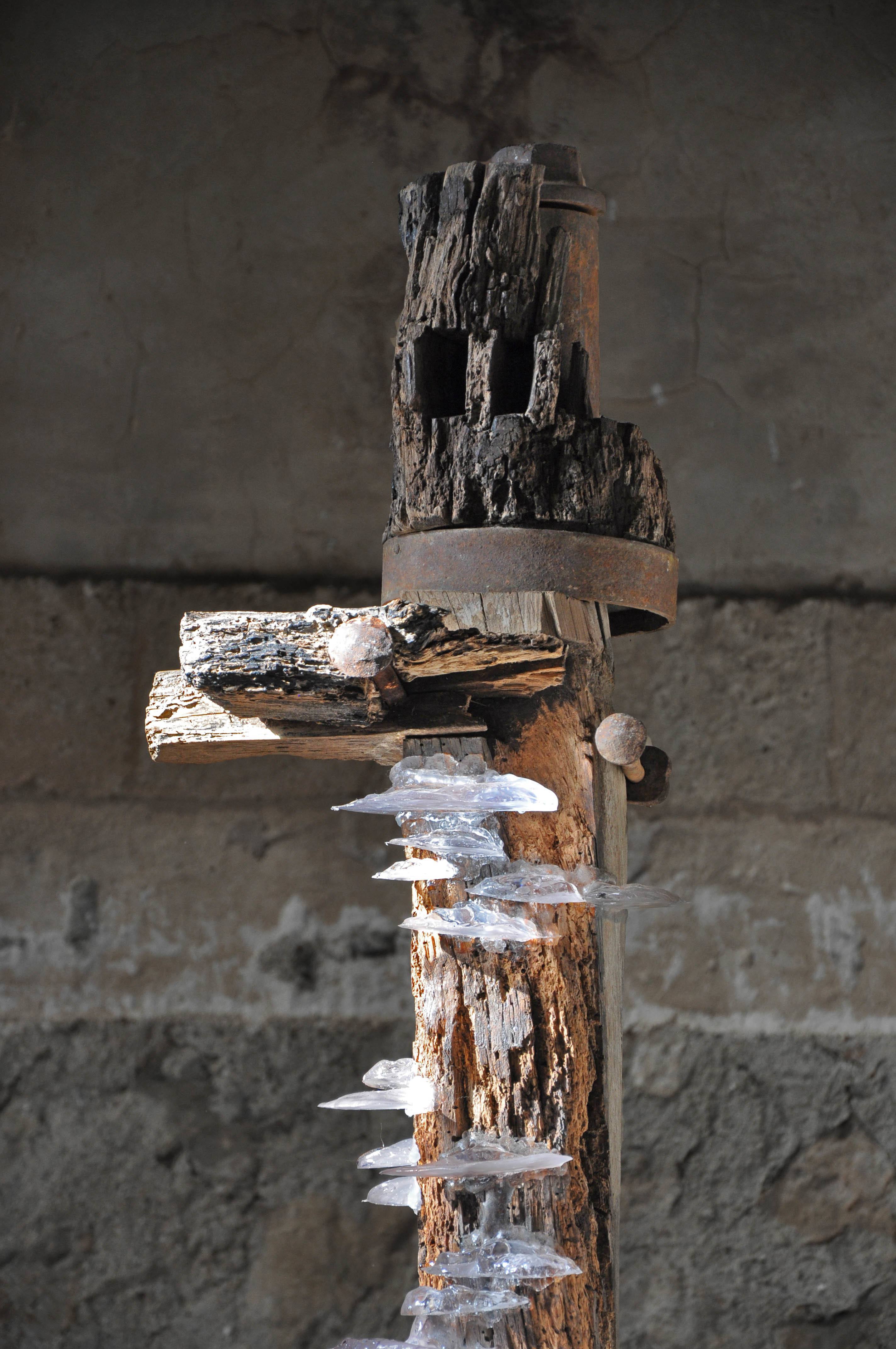 Twentieth TomPrice Viga 9