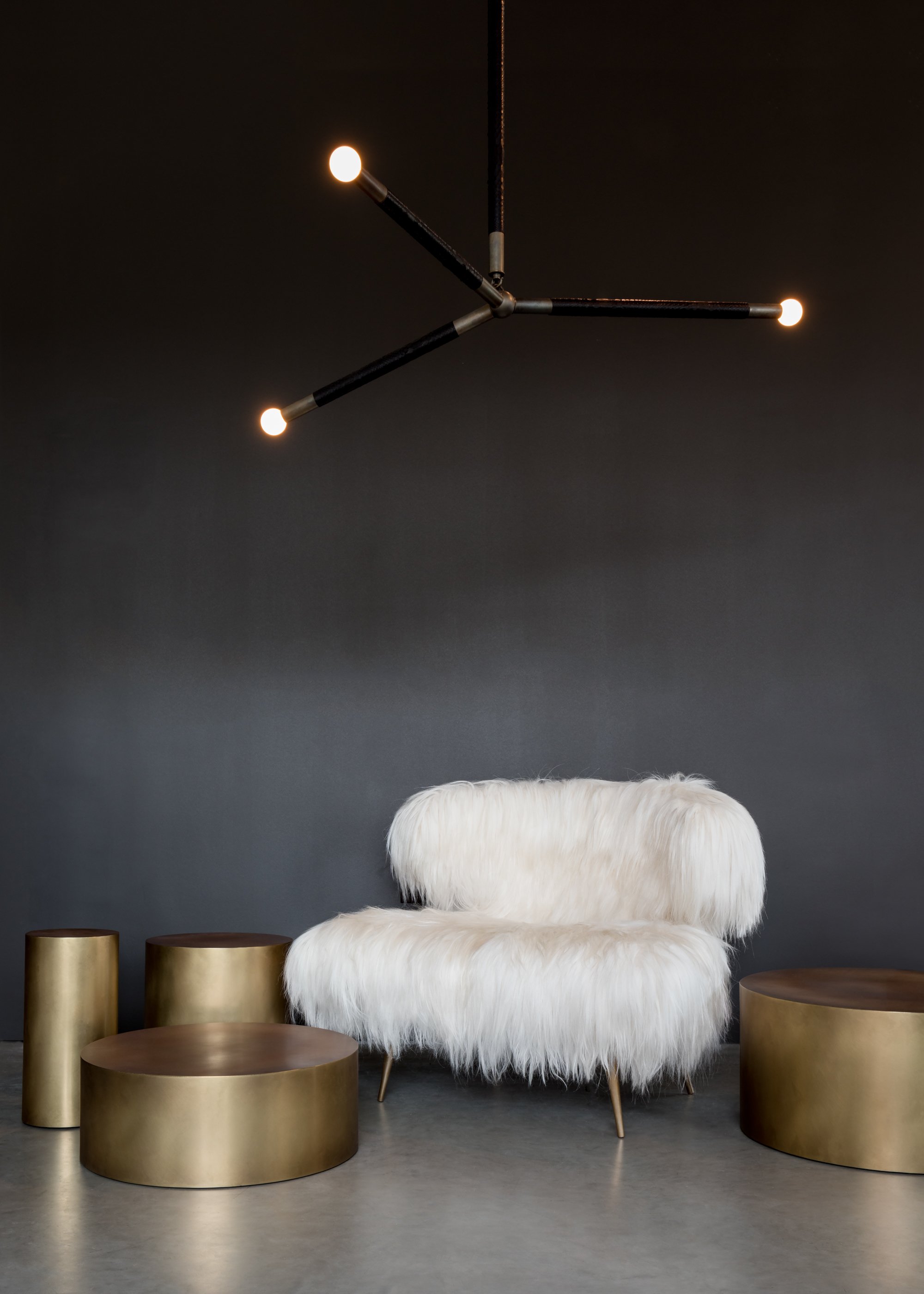 VidereLicet_RoomView