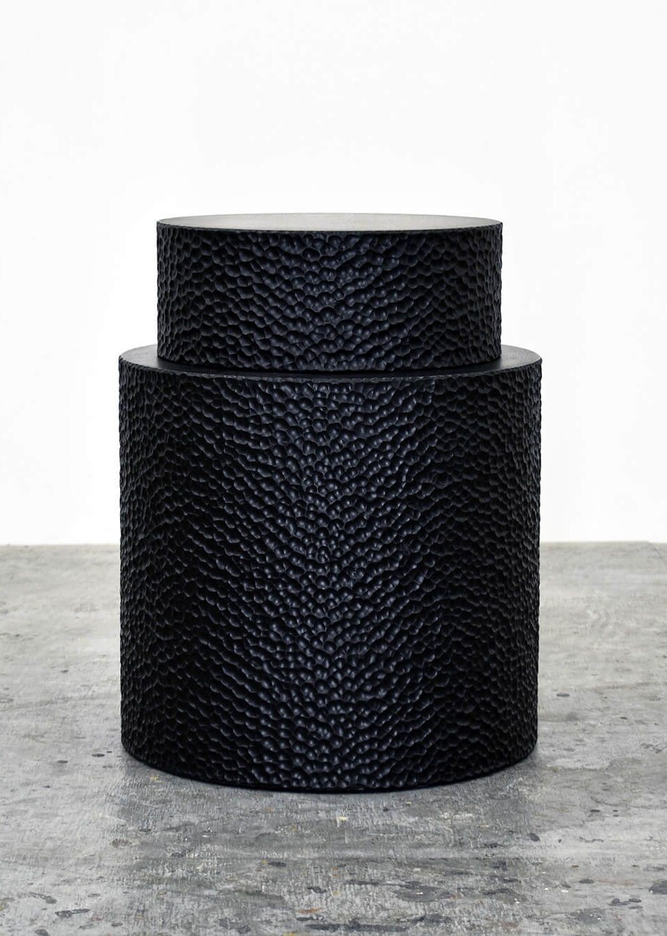 13 2 1 e1738360175295