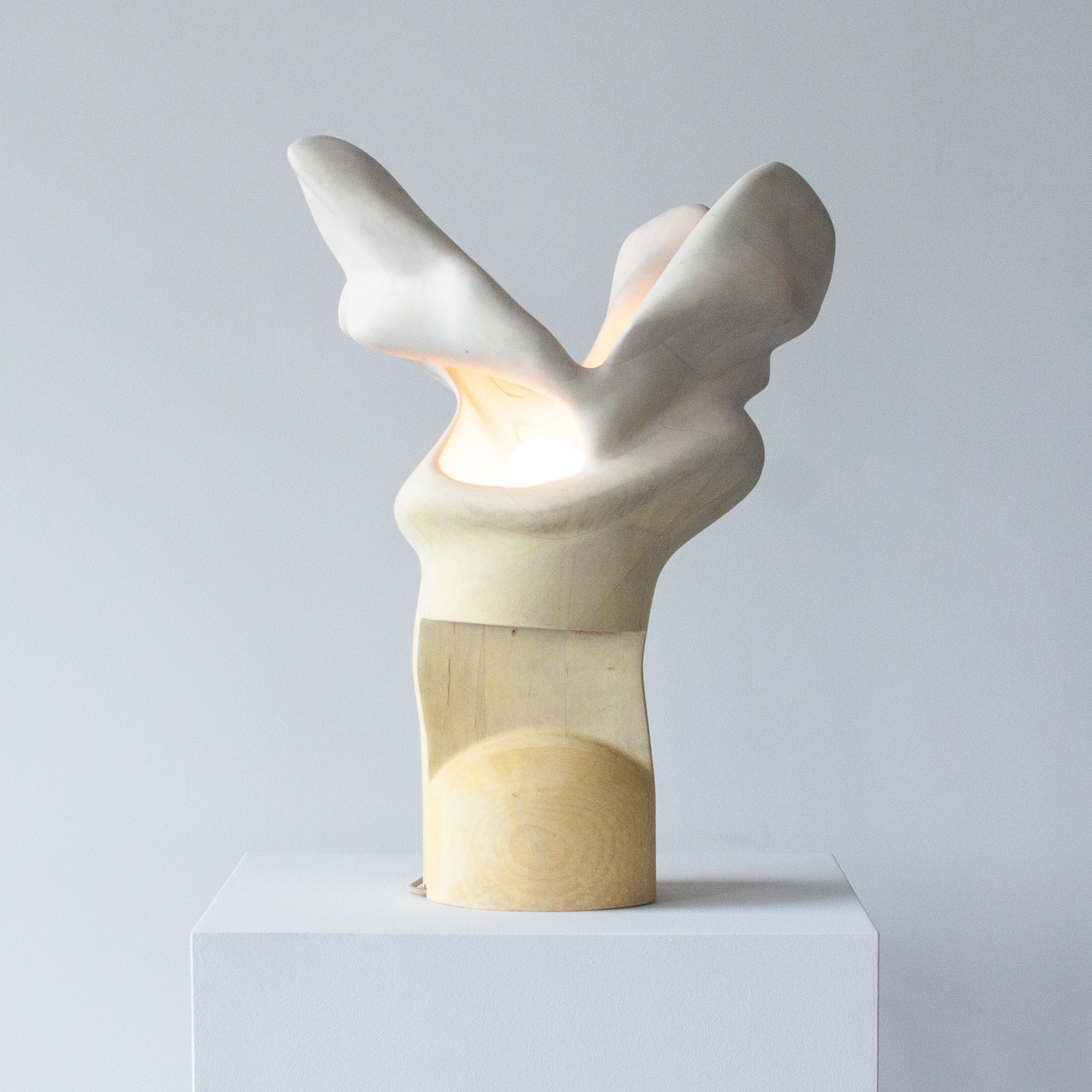 Twentieth-Vincent_Pocsik-Sunset_Glide-Light_Sculpture-03