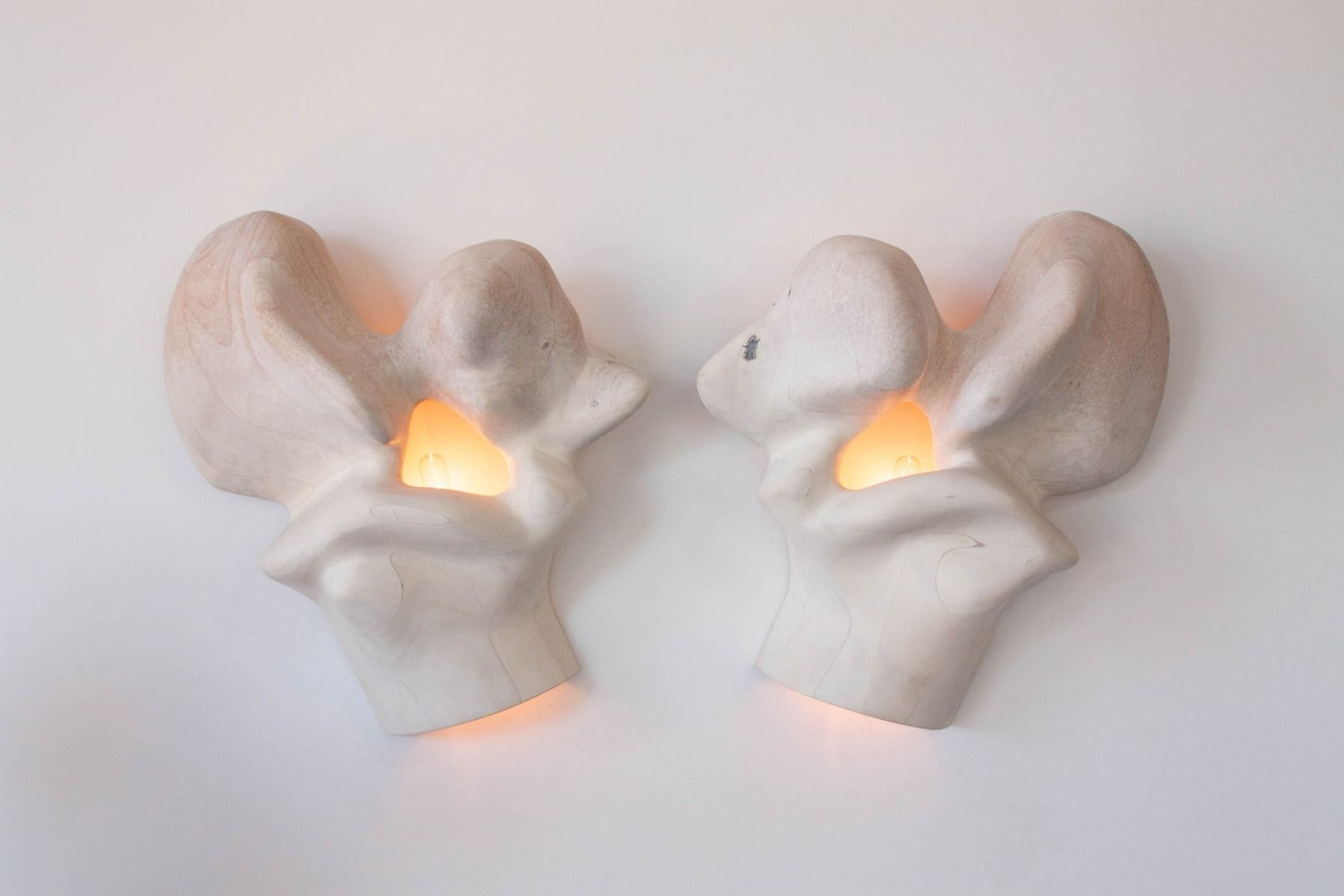 twentieth exhibitions vincent pocsik anatomical torsion 188