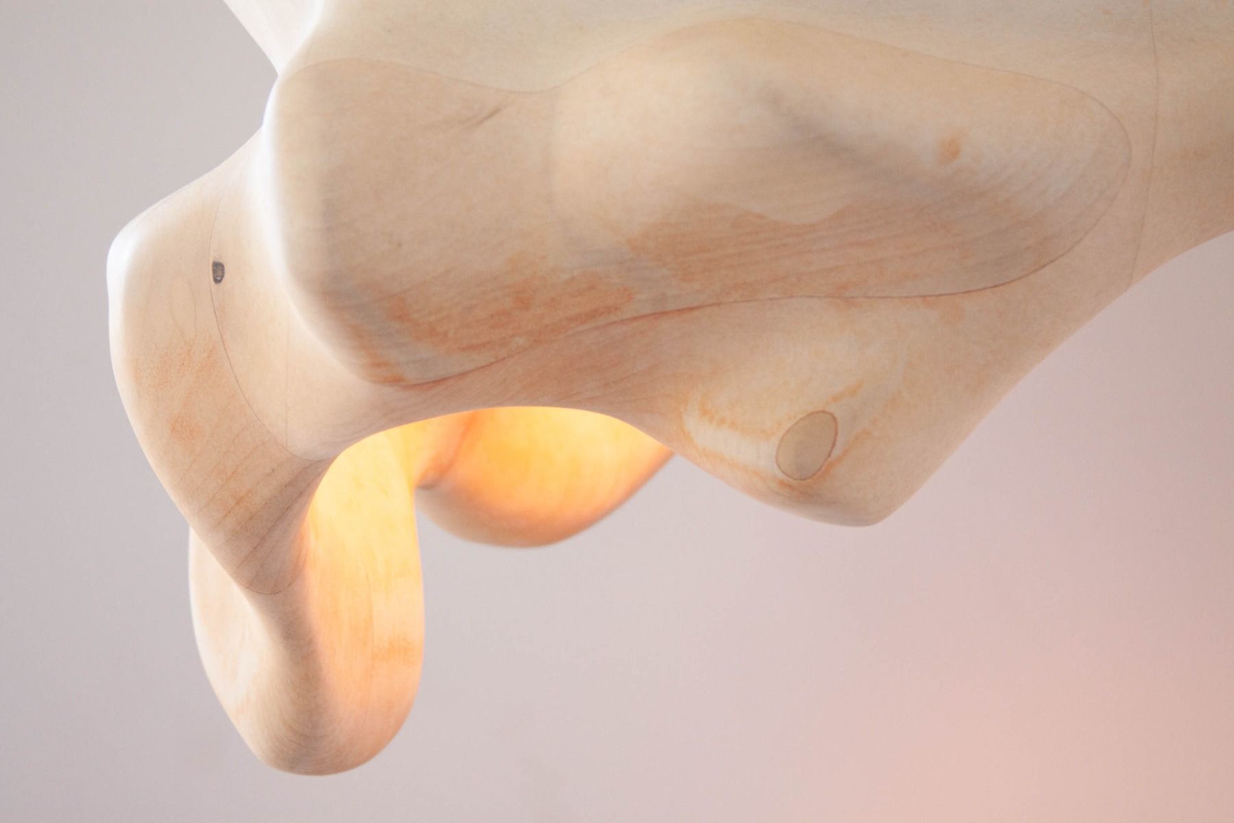 twentieth exhibitions vincent pocsik anatomical torsion 206 1