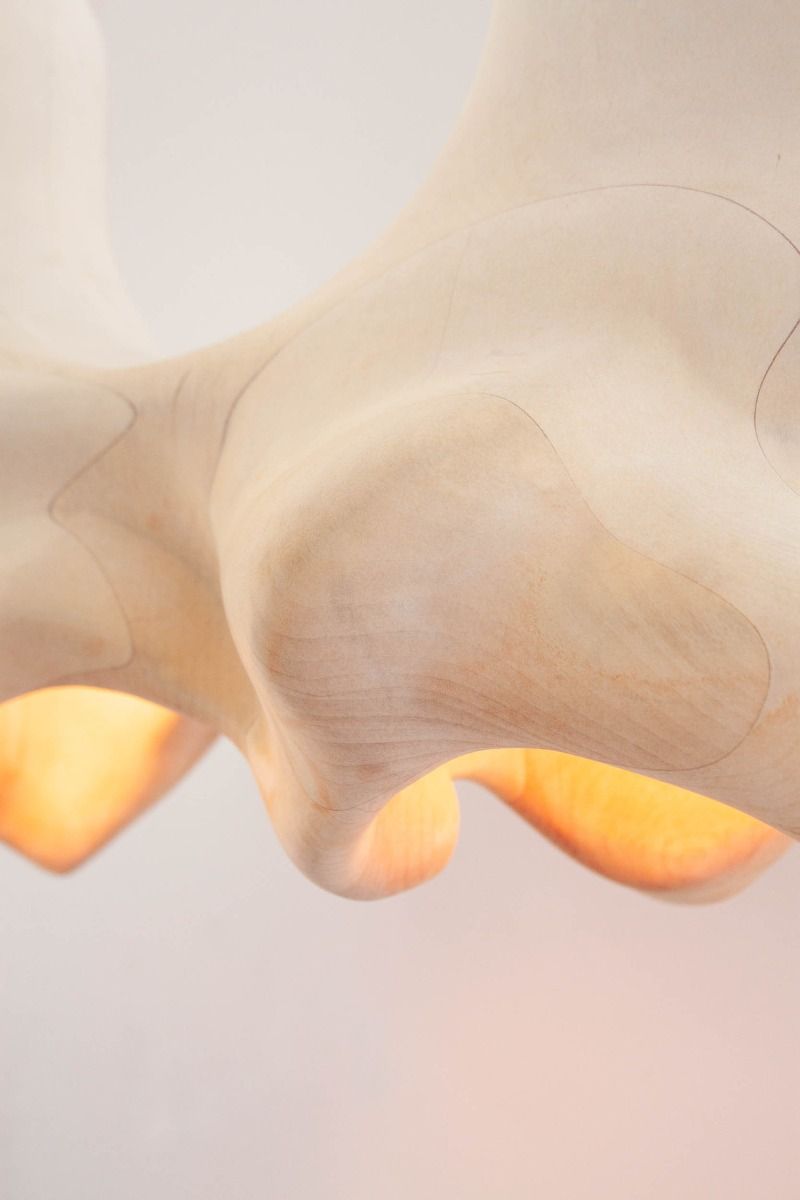 twentieth exhibitions vincent pocsik anatomical torsion 208 1