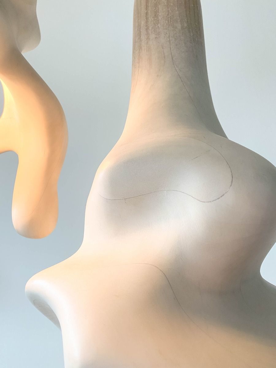 twentieth exhibitions vincent pocsik anatomical torsion 224