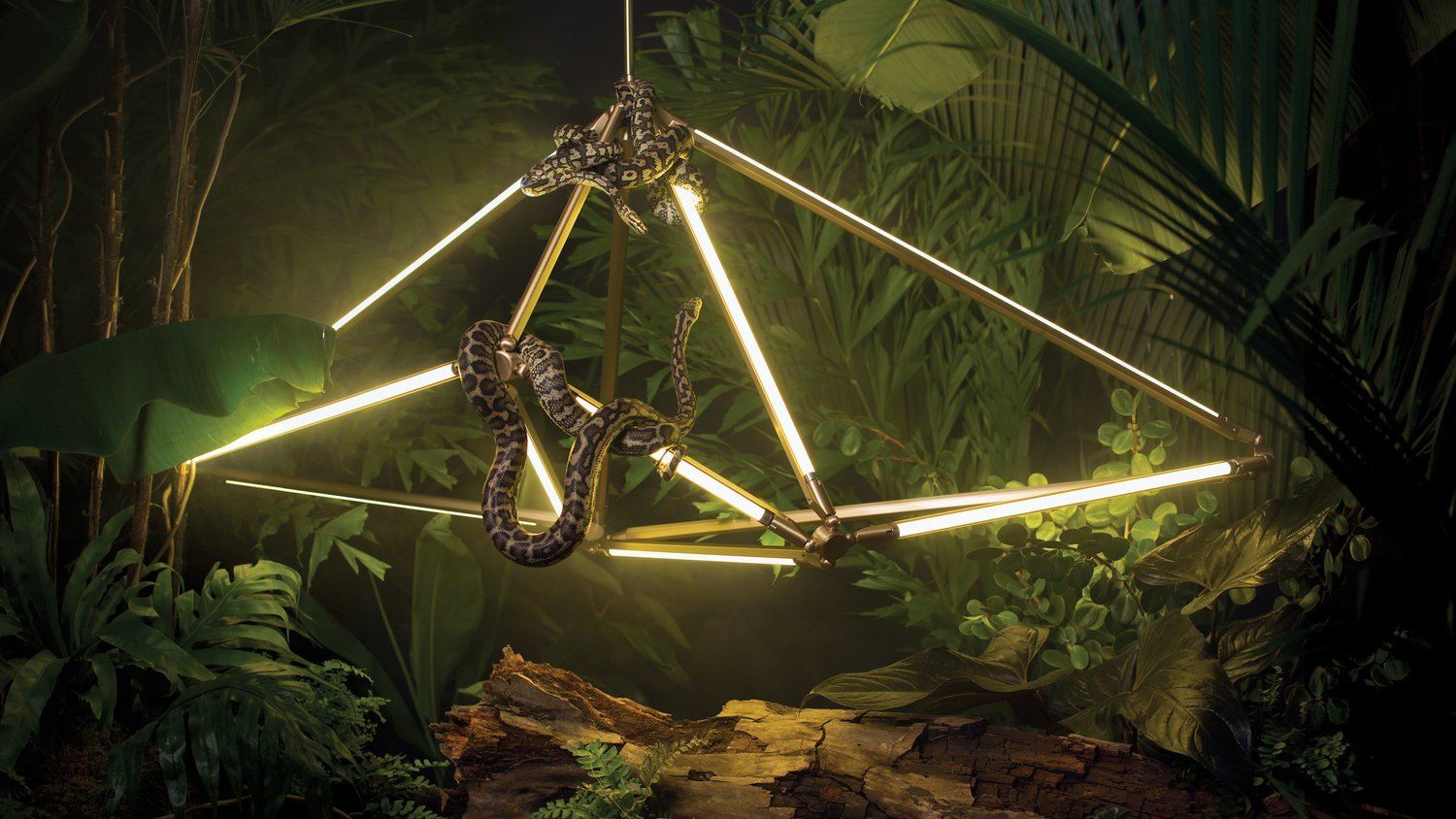 Snake+4752+horizontal Flat Hero