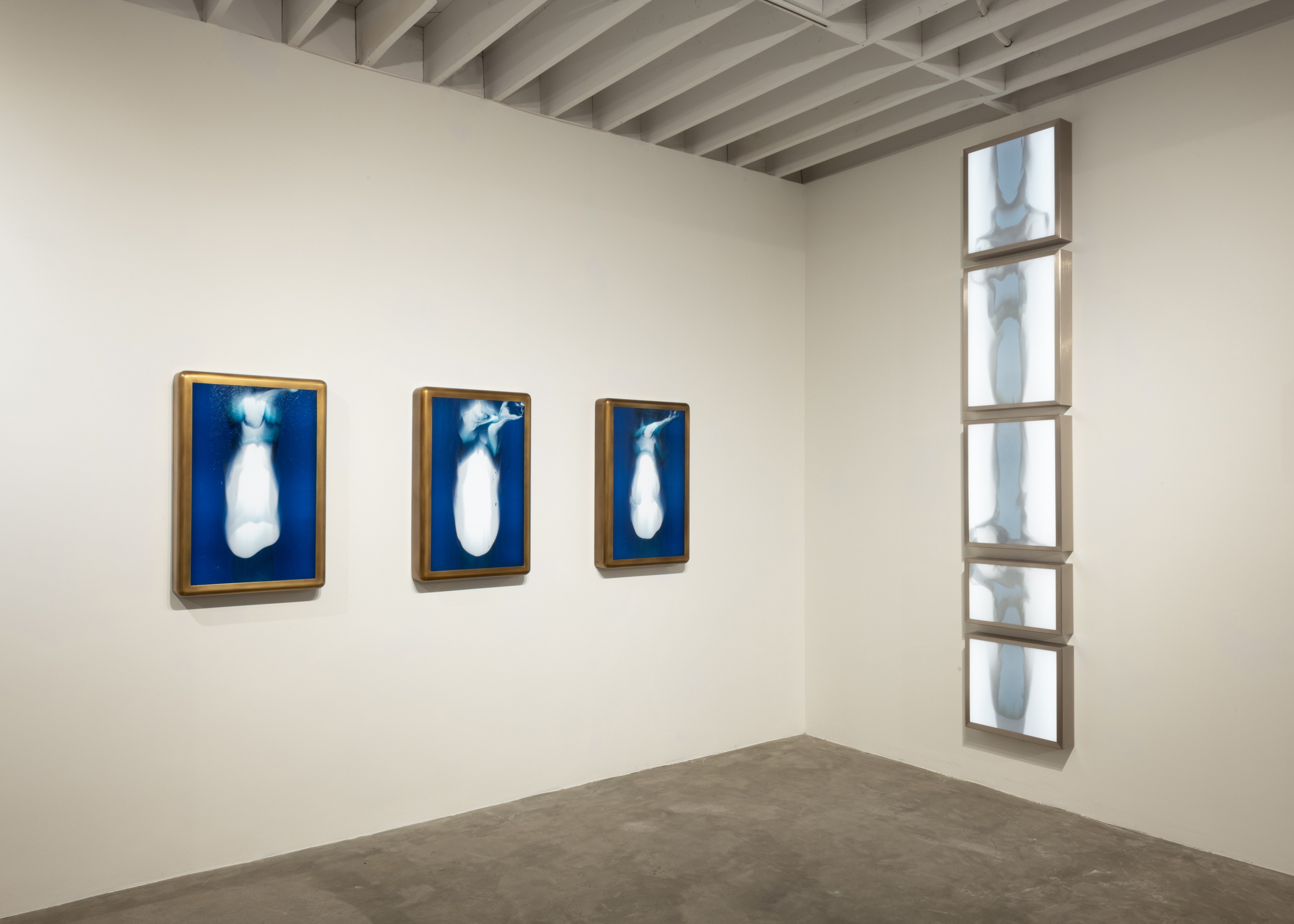 VidereLicet_Meltforms_Installation-3