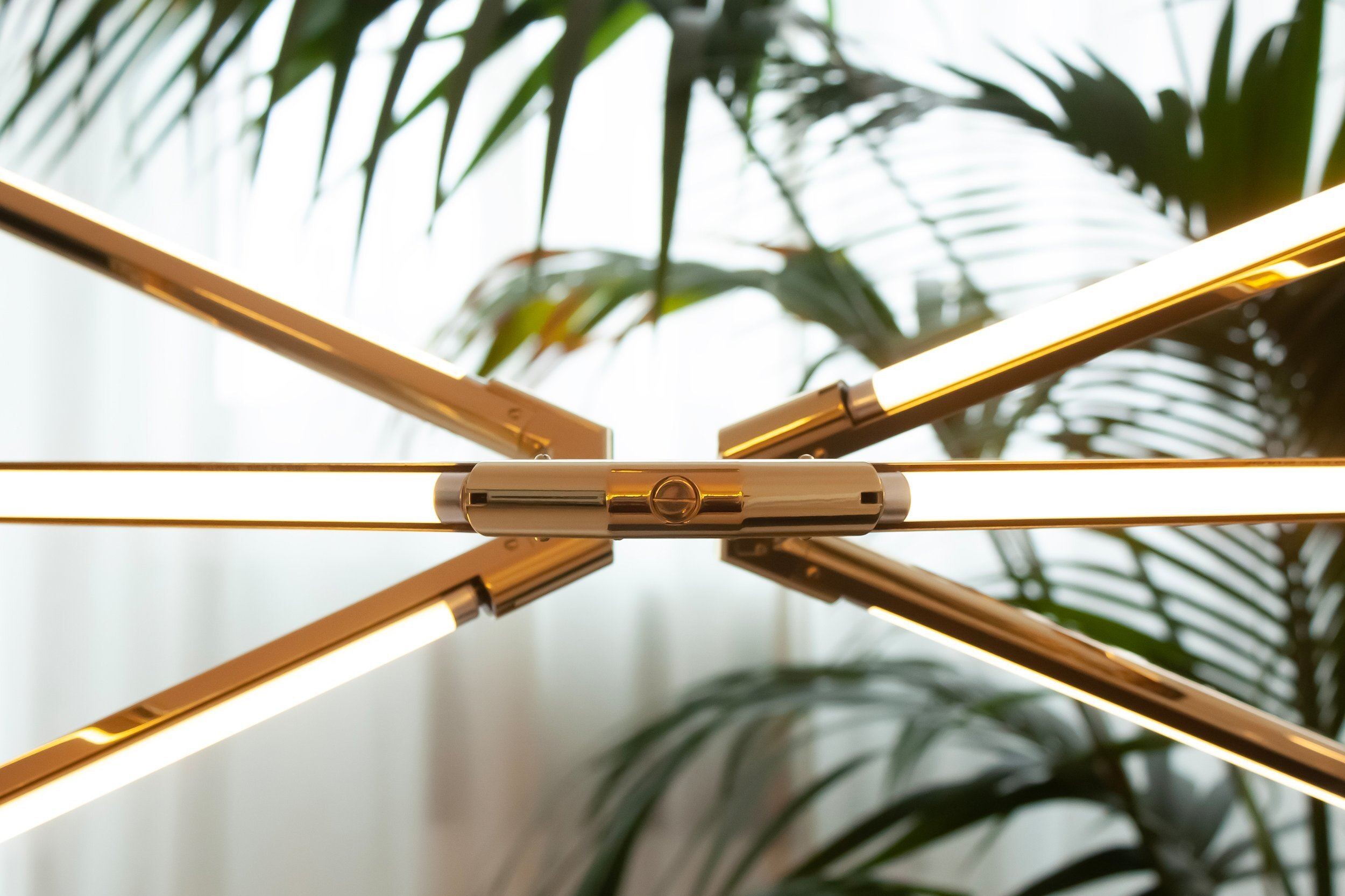 Zelda+Links+Small_MG_3817-web