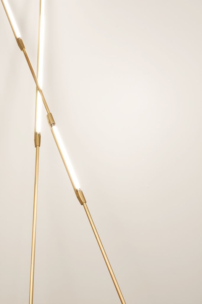 Shy Beams By Bec Brittain3