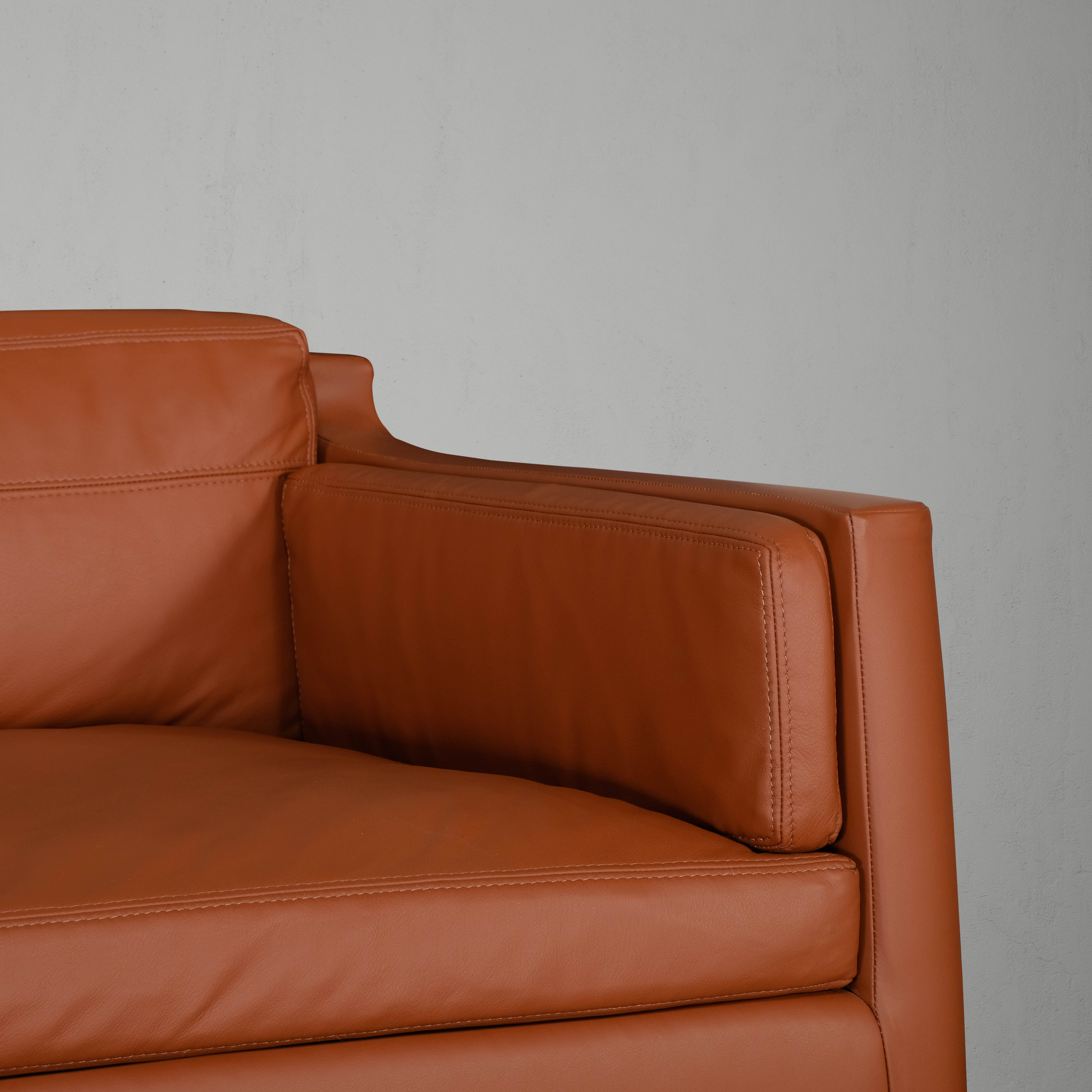 Twentieth Skram Altai Sofa 3 54