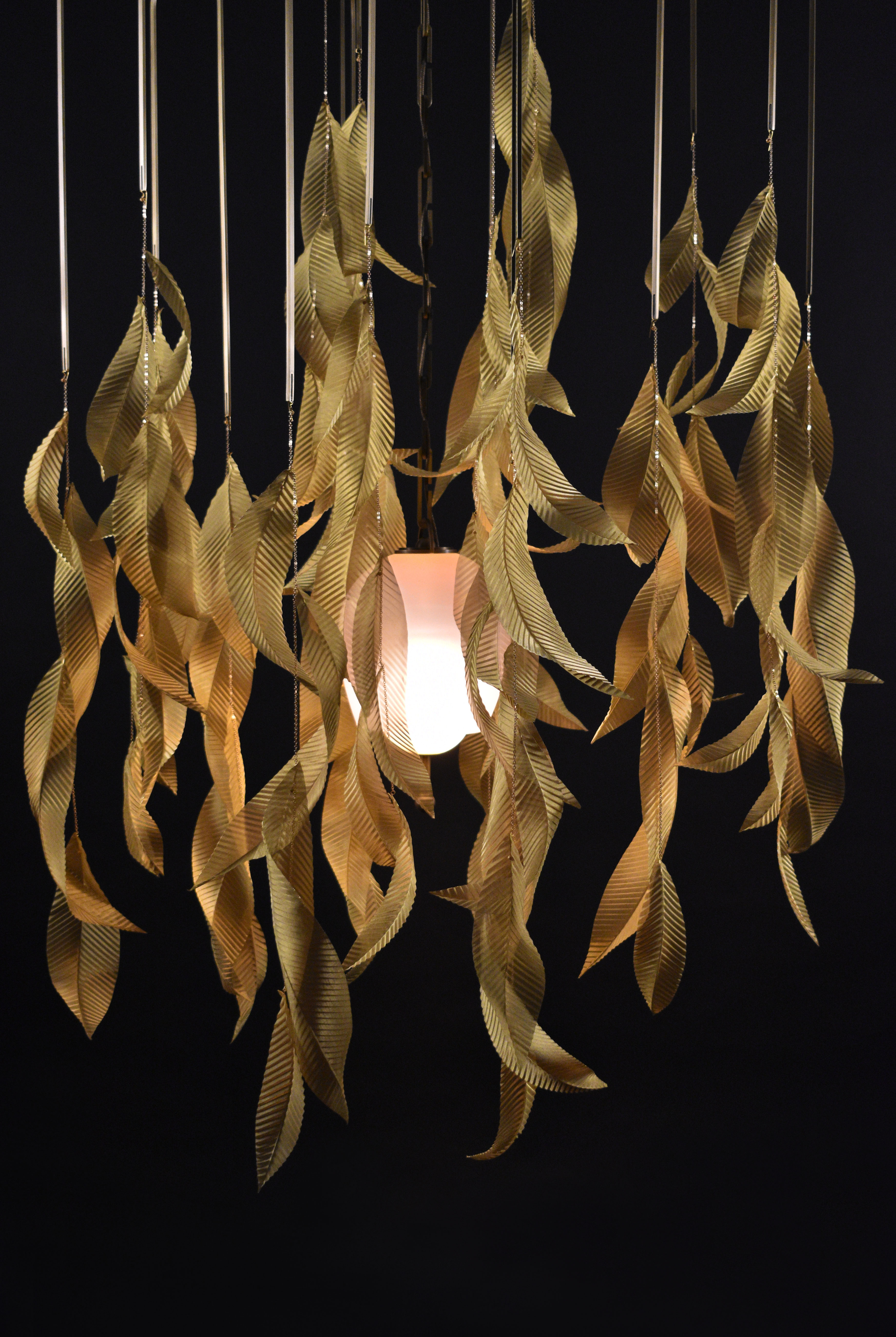 LaroseGuyon_Saule-L (3)