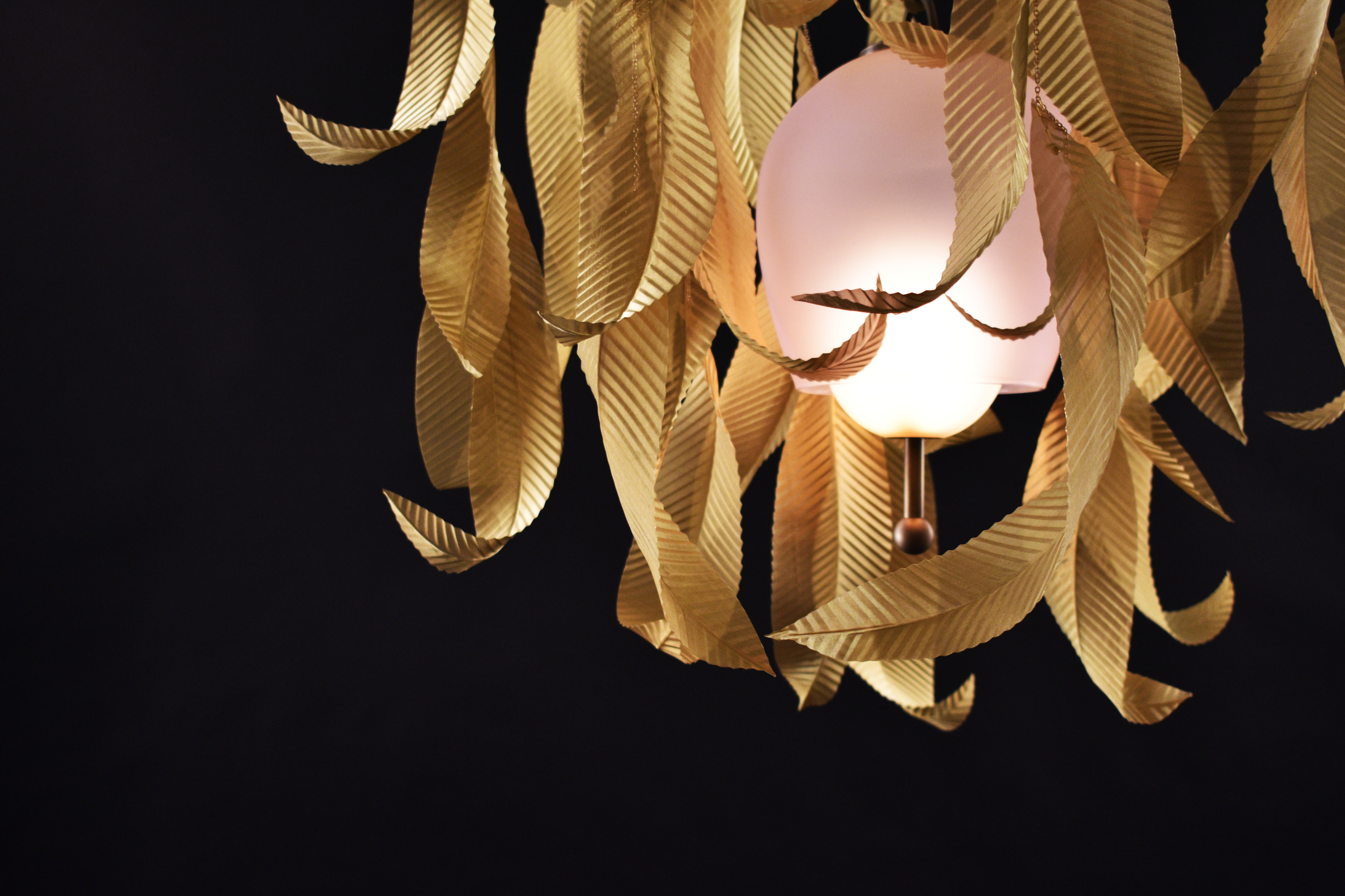 LaroseGuyon_Saule-S-01 (17)