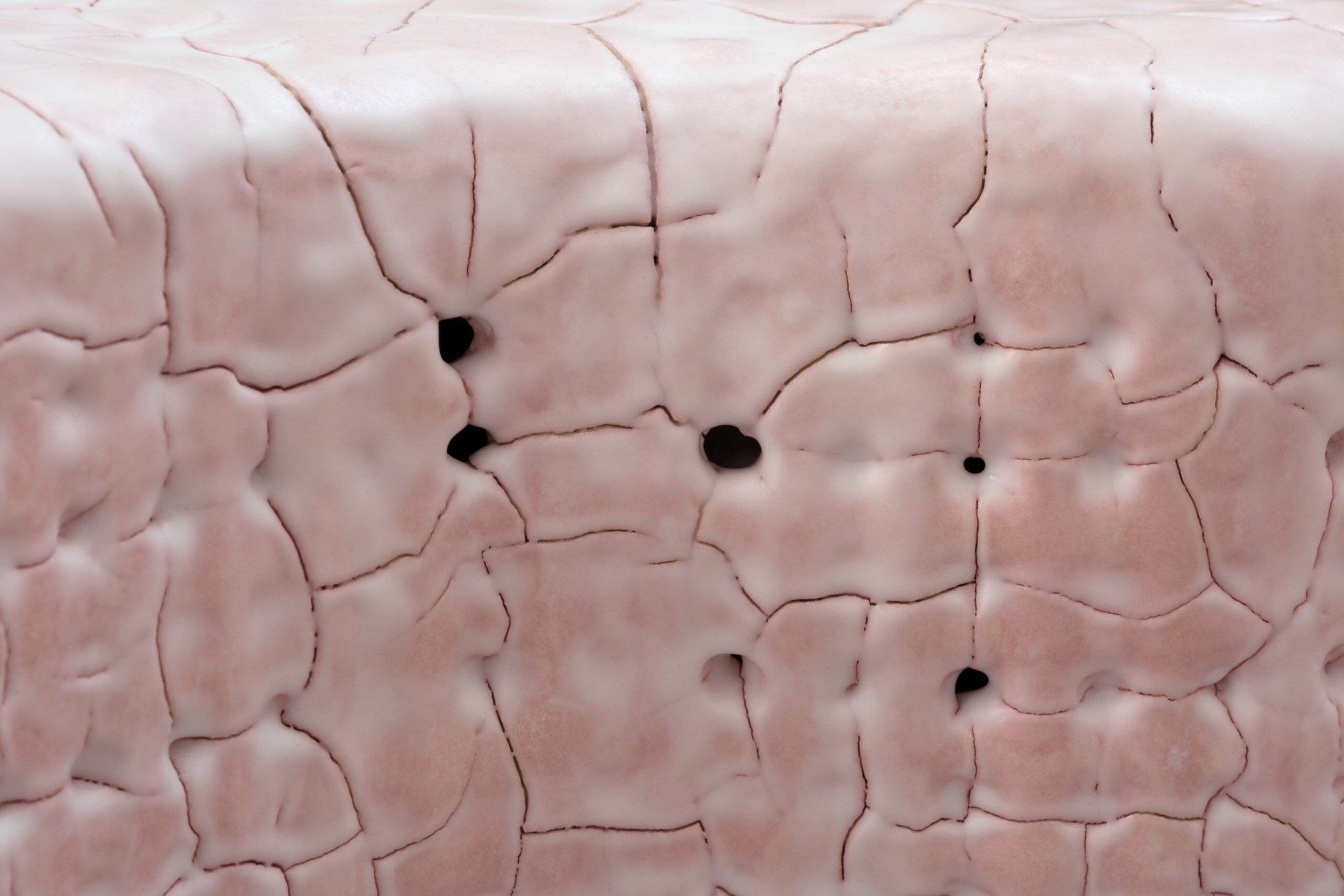 Scott-Daniel-Design_Ceramic-Starfish-Table_Pink_04-scaled