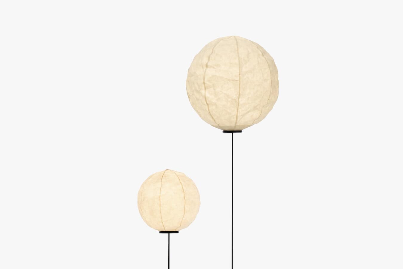 Cho Light Lit Peter Guenzel Composistion 02 09.21 Grey Background 300dpi