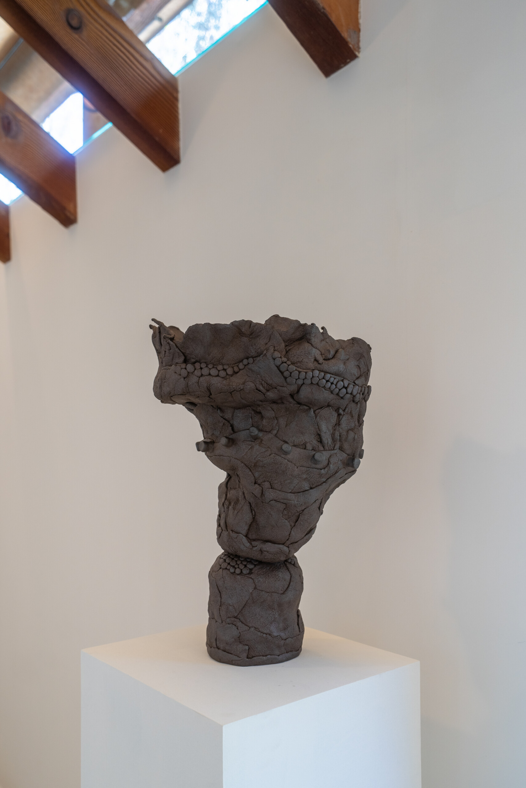 Twentieth Twentieth Lois Samuels 2025 Exhibition 07