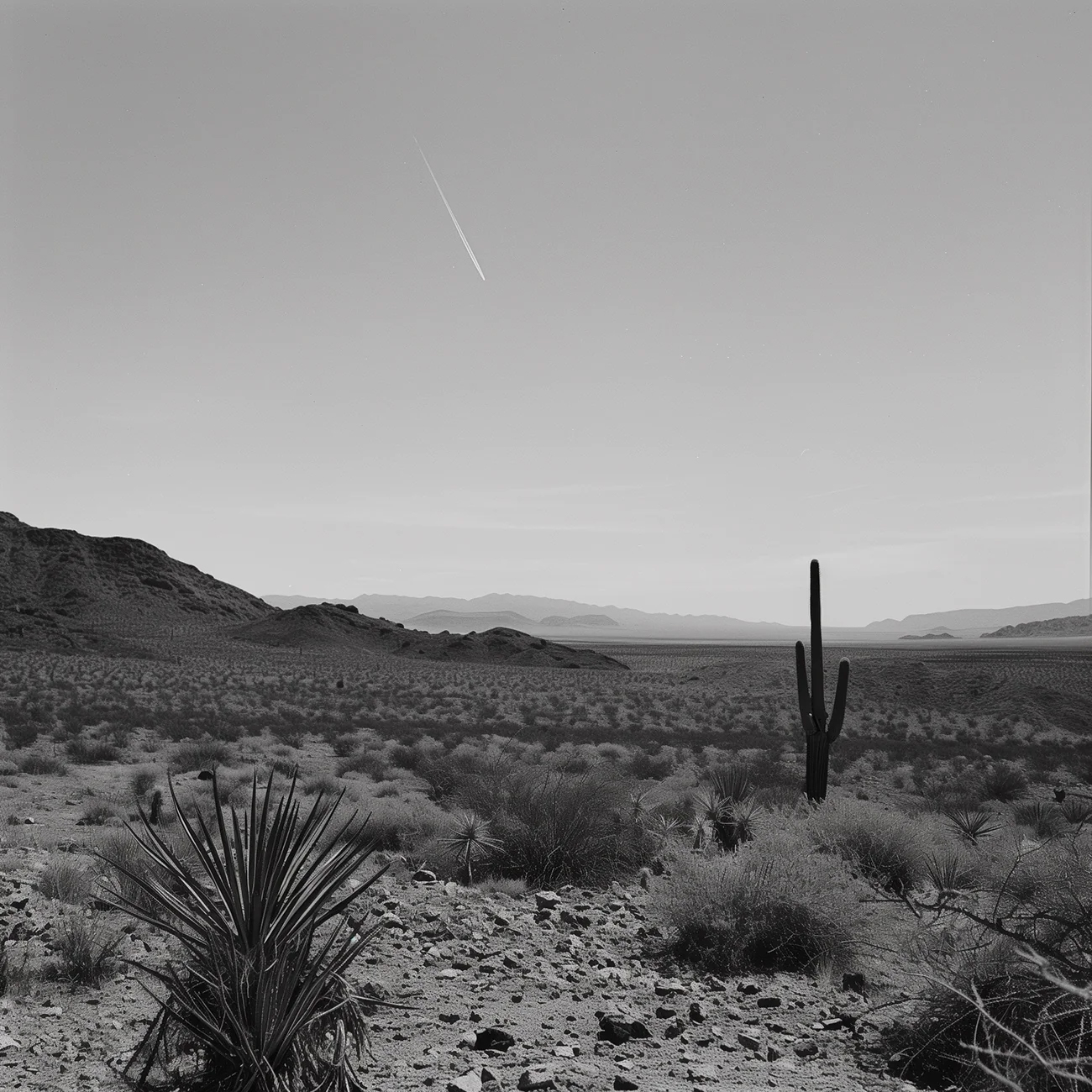 HENZELSTUDIOLeMeteoredelanuitDesertHillsArizona W 1512x